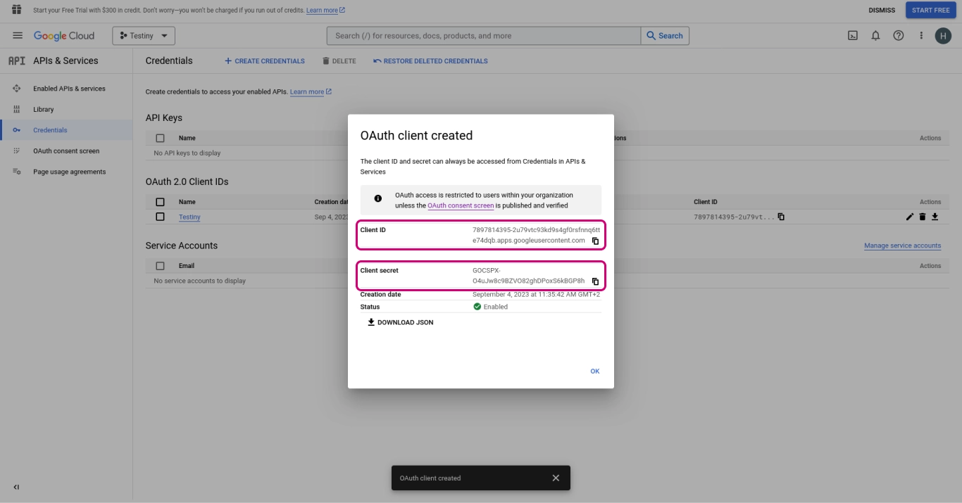 google configuration - step 9